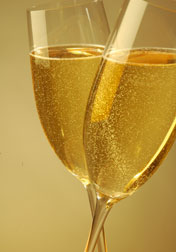La gamme champagne des pressoirs pneumatiques Smart Press