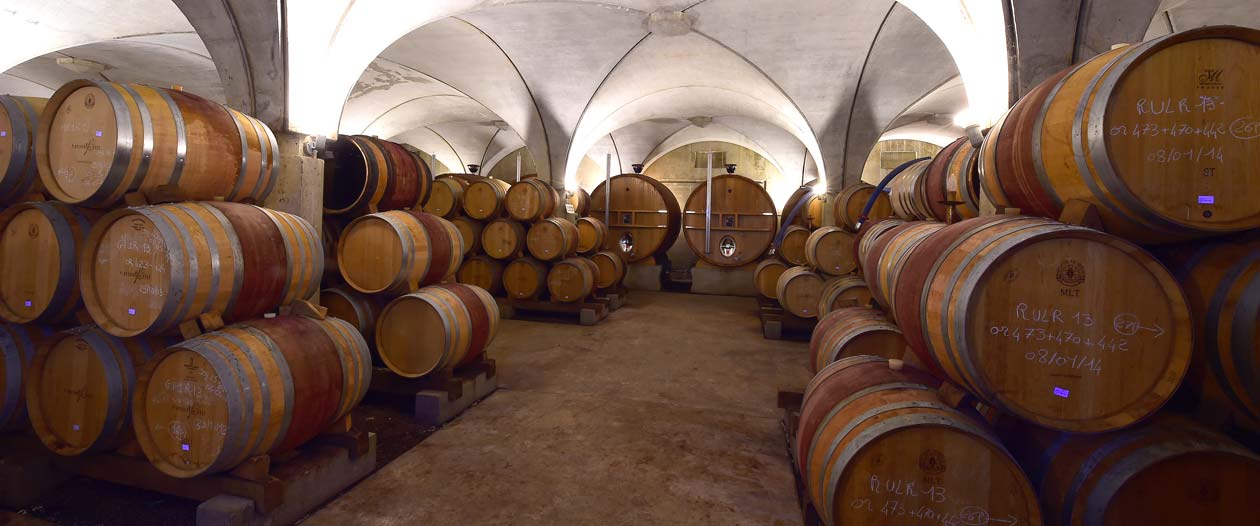 Tailor-made thermal process - cellar air-conditioning